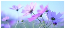 eyecatch